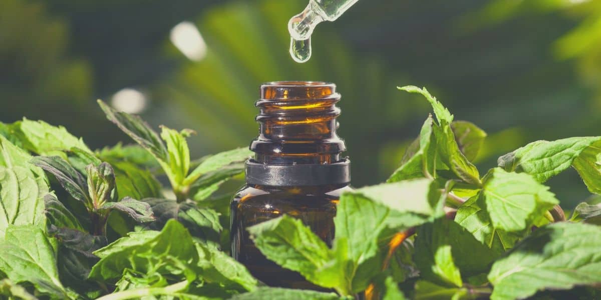 essential oil