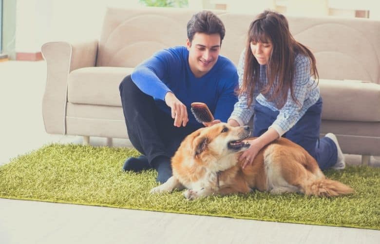 best brush for golden retriever