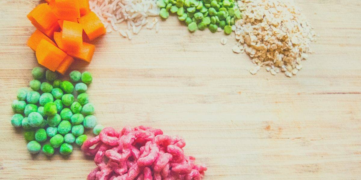 dog food recipe