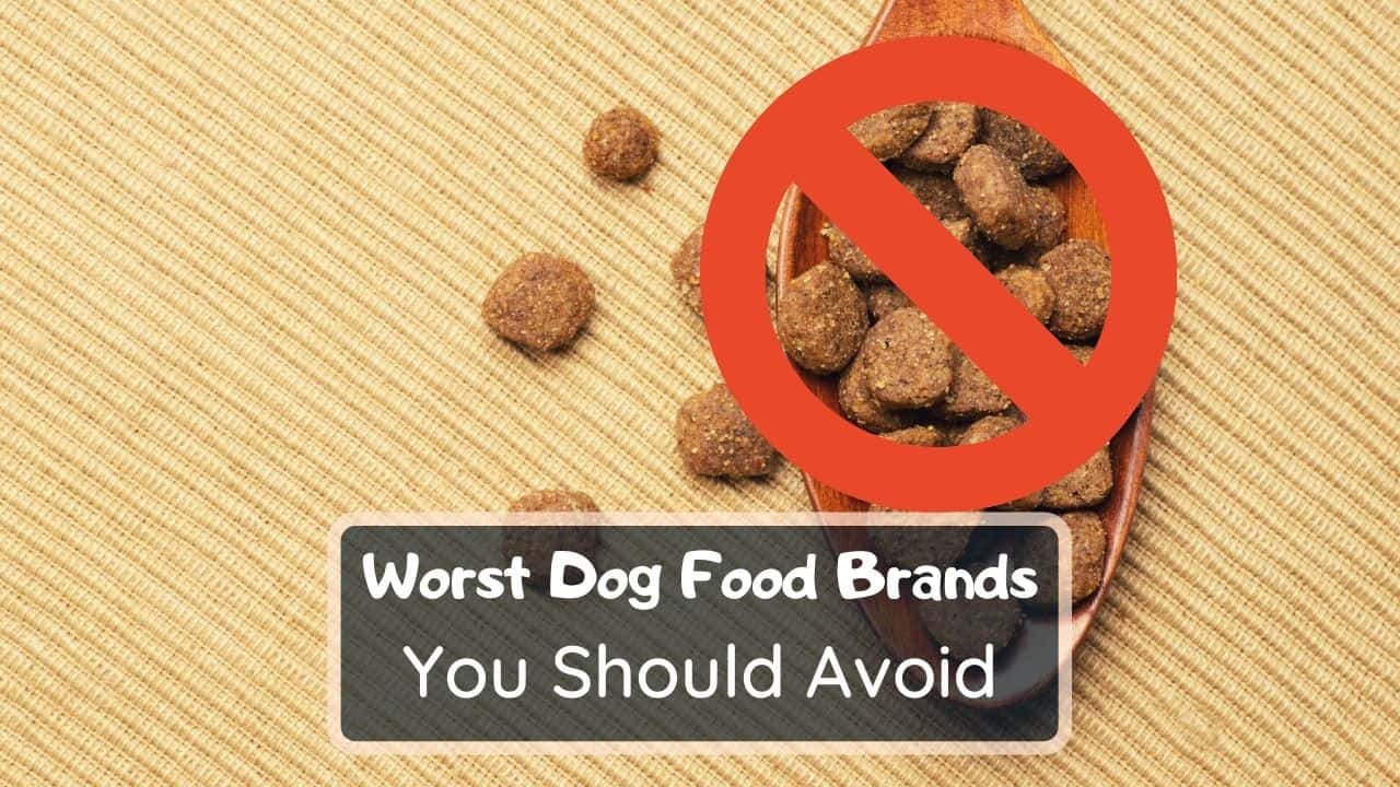 17 Worst Dog Food Brands To Avoid [2021] +15 Great Choices