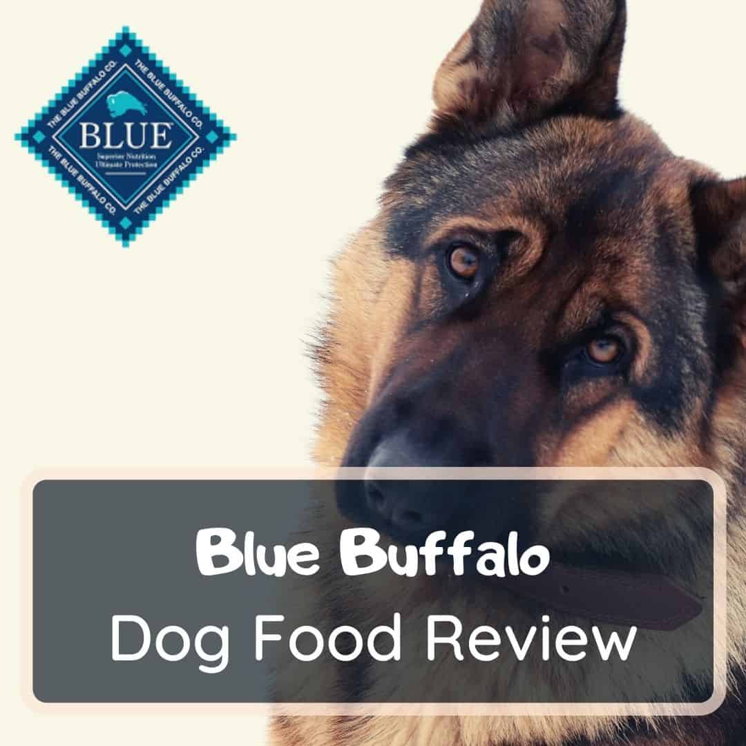 blue buffalo dog food review